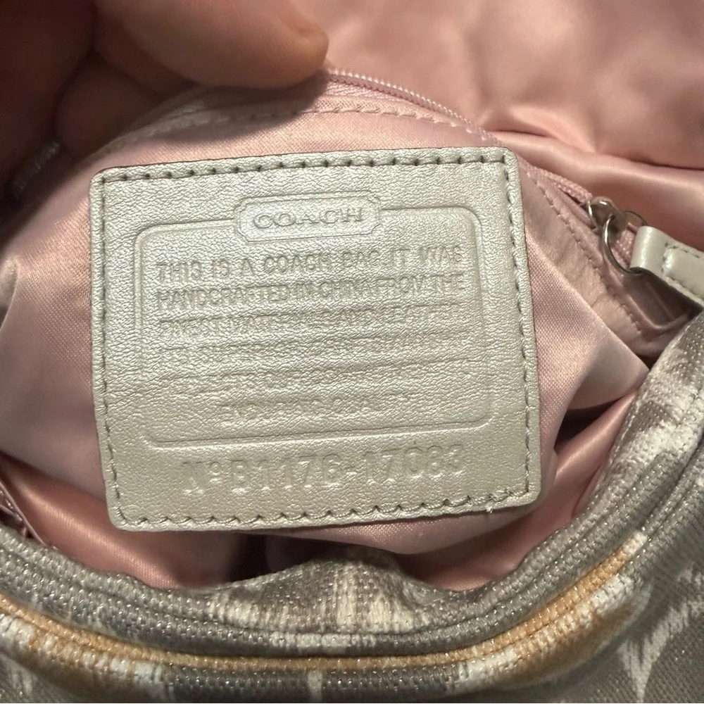 Coach Kristin Op Art Ikat Hobo Bag